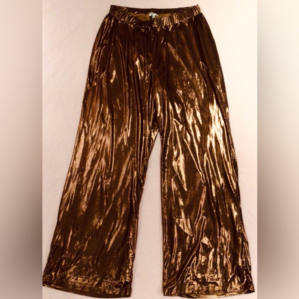 NWT Remi x Revolve Camille lined pants chocolate brown size 0X